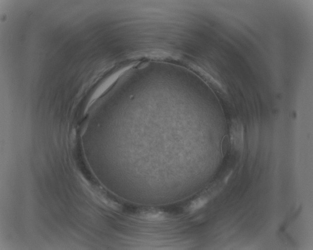 X0000082760206200702092002