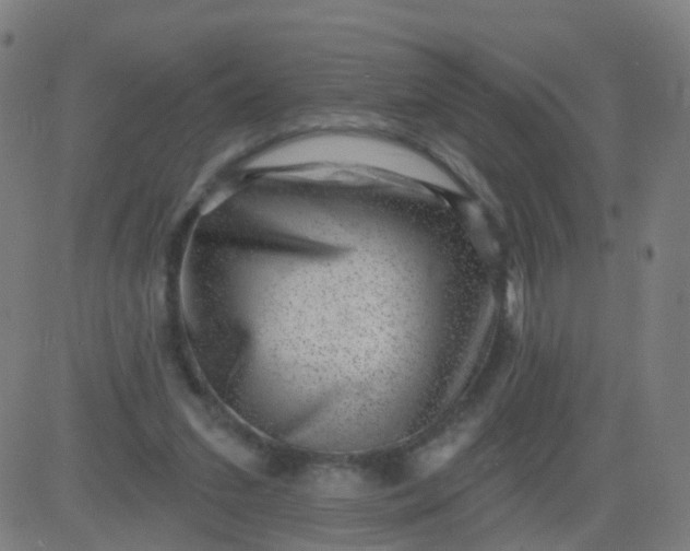 X0000082760207200702092002