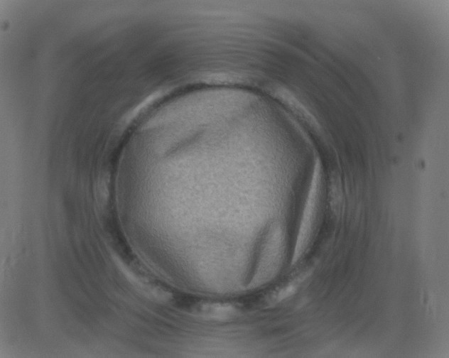 X0000082760208200702092002