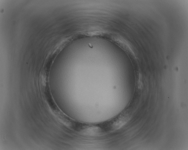 X0000082760210200702092002