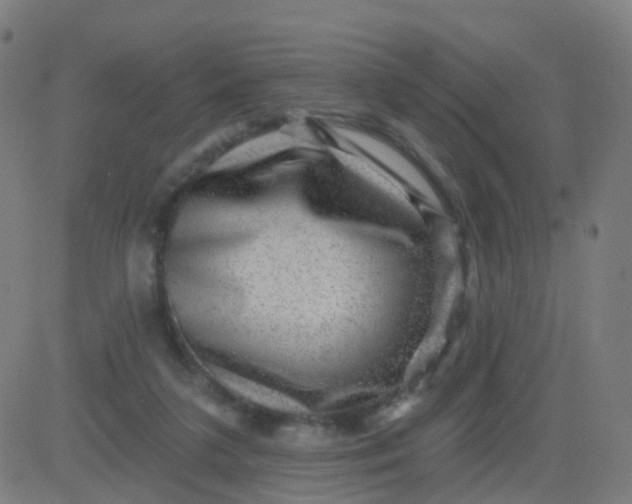 X0000082760211200702092001