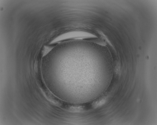 X0000082760213200702092001