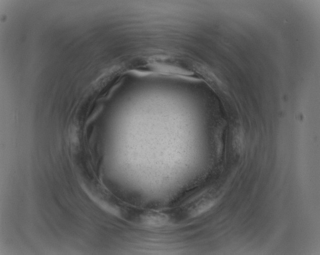 X0000082760215200702092001