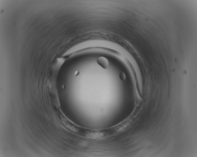 X0000082760217200702092001