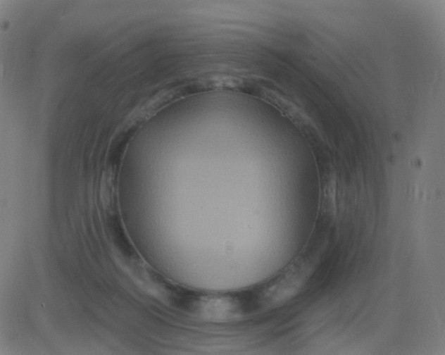 X0000082760218200702092001