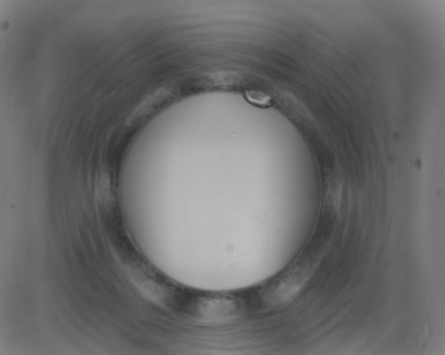 X0000082760220200702092001