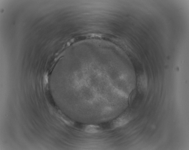 X0000082760222200702092001