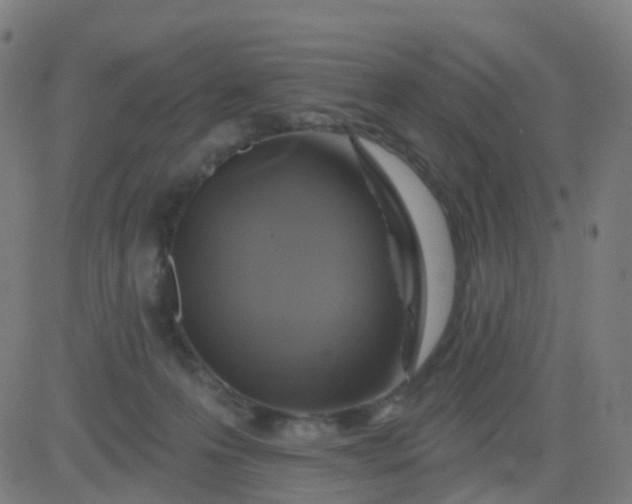 X0000082760223200702092001