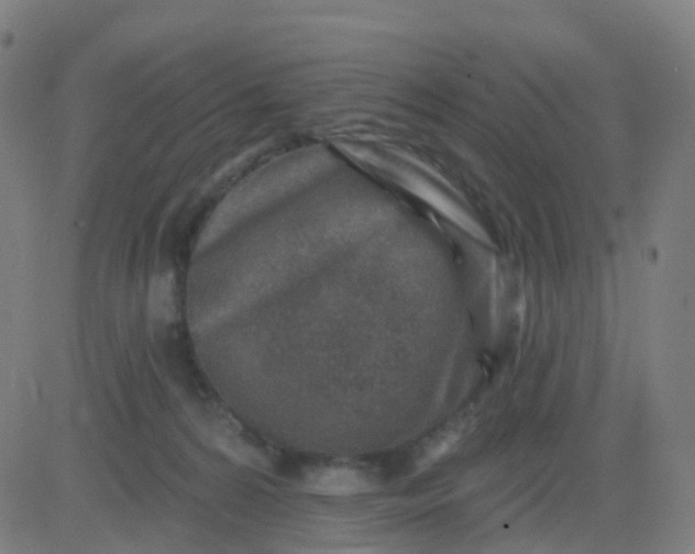 X0000082760224200702092001