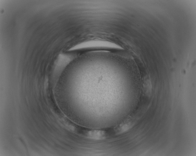 X0000082760225200702092001