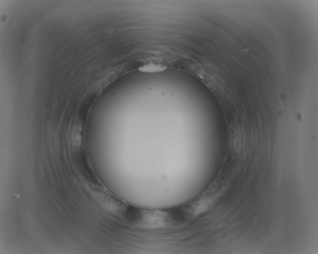 X0000082760226200702092001