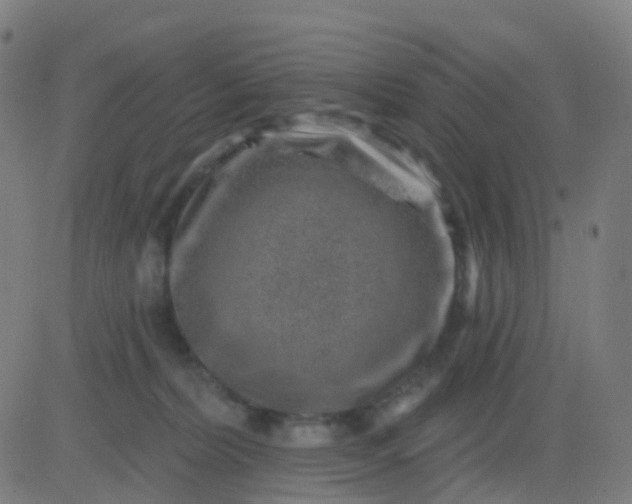 X0000082760228200702092001