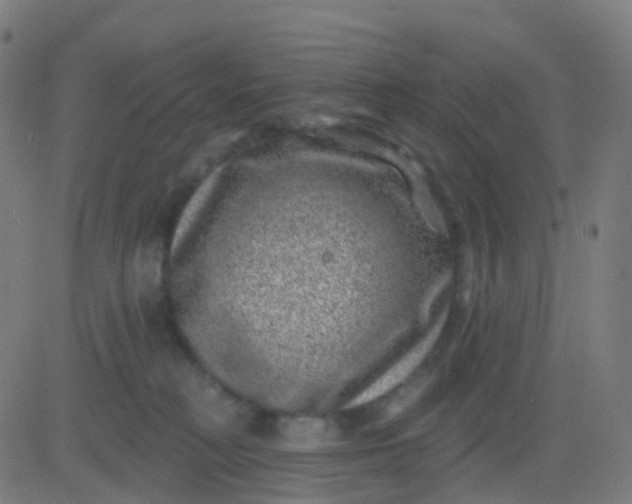 X0000082760230200702092001