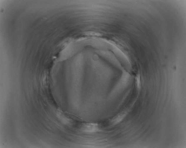 X0000082760233200702092001