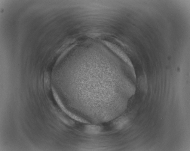 X0000082760234200702092001