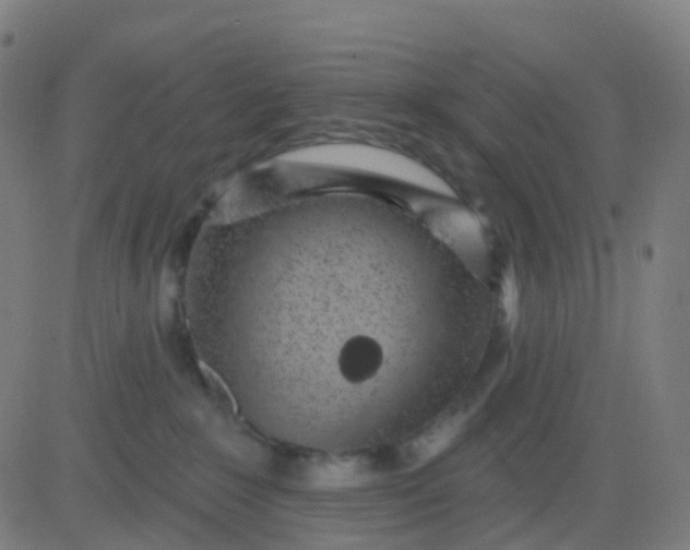 X0000082760235200702092001