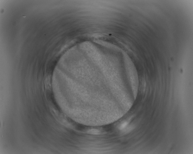 X0000082760236200702092001