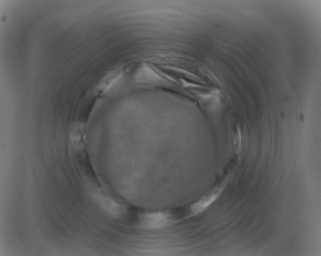 X0000082760237200702092001