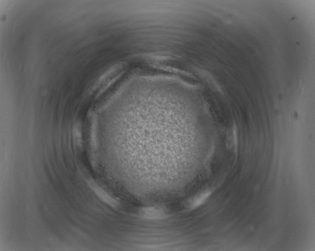 X0000082760238200702092001