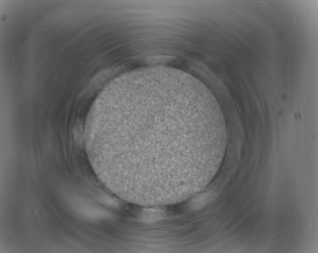 X0000082760240200702092001