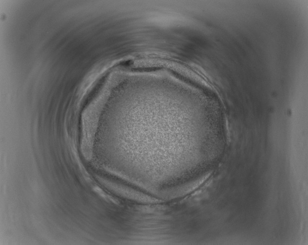 X0000082760241200702092000