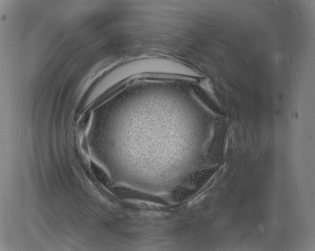 X0000082760242200702092000