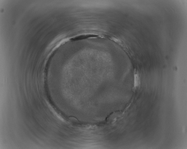 X0000082760243200702092000