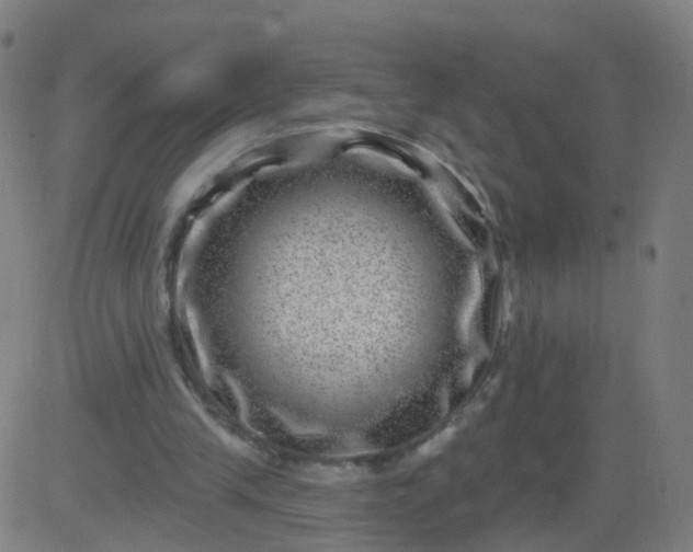 X0000082760245200702092000