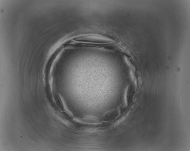 X0000082760246200702092000