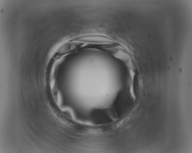 X0000082760248200702092000