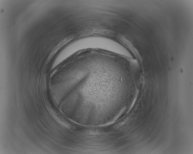 X0000082760250200702092000