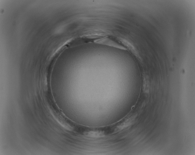 X0000082760251200702092000