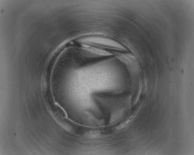 X0000082760252200702092000