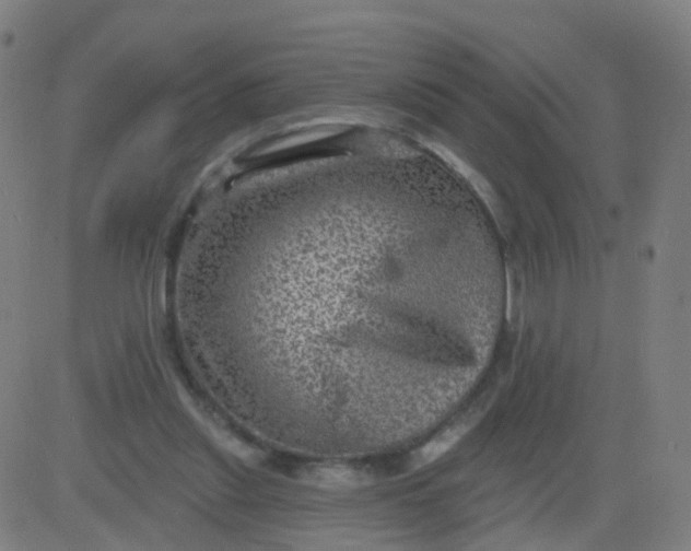 X0000082760253200702092000