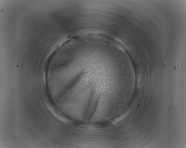 X0000082760254200702092000