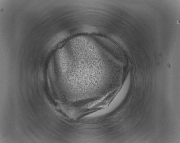 X0000082760256200702092000