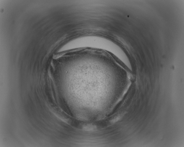 X0000082760258200702092001