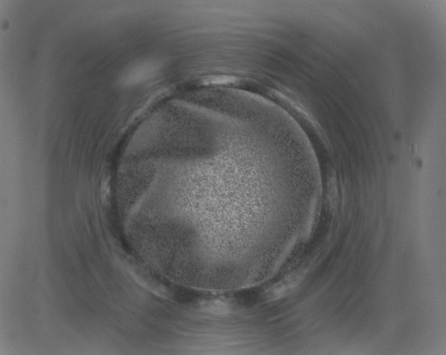 X0000082760259200702092001