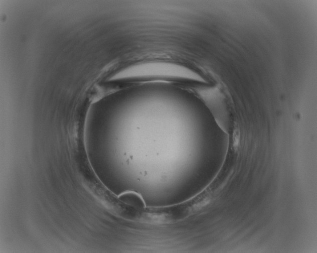 X0000082760260200702092001