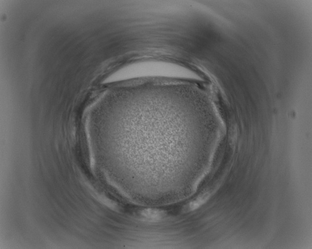 X0000082760261200702092001