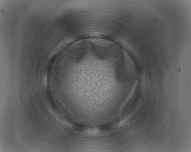 X0000082760262200702092001