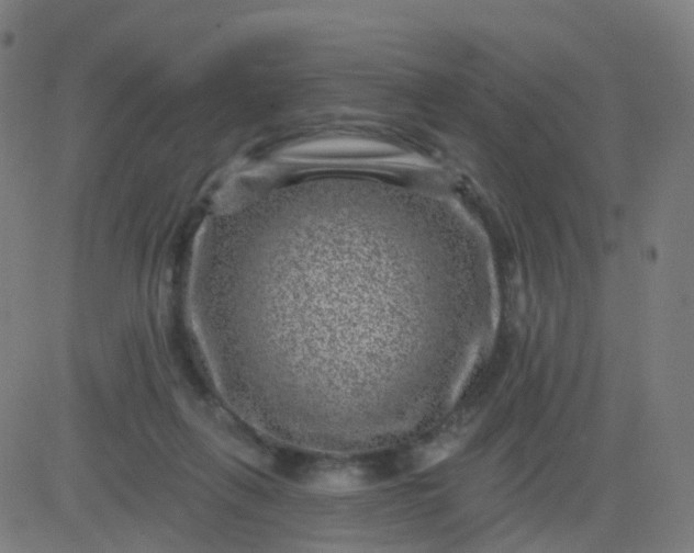 X0000082760263200702092001