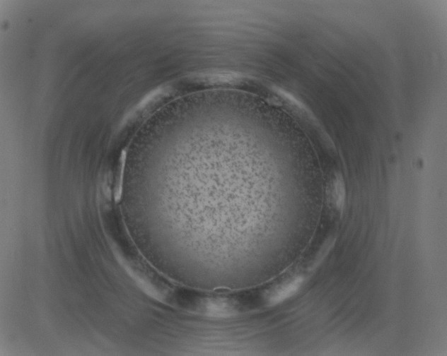 X0000082760264200702092001