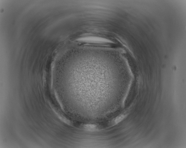 X0000082760265200702092001