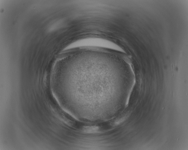 X0000082760266200702092001