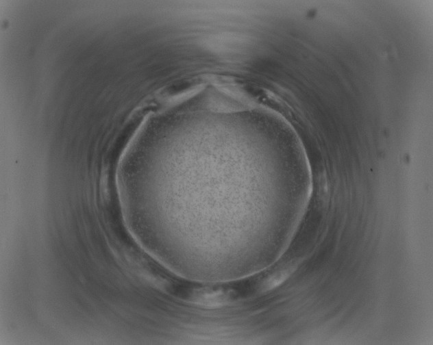 X0000082760267200702092001