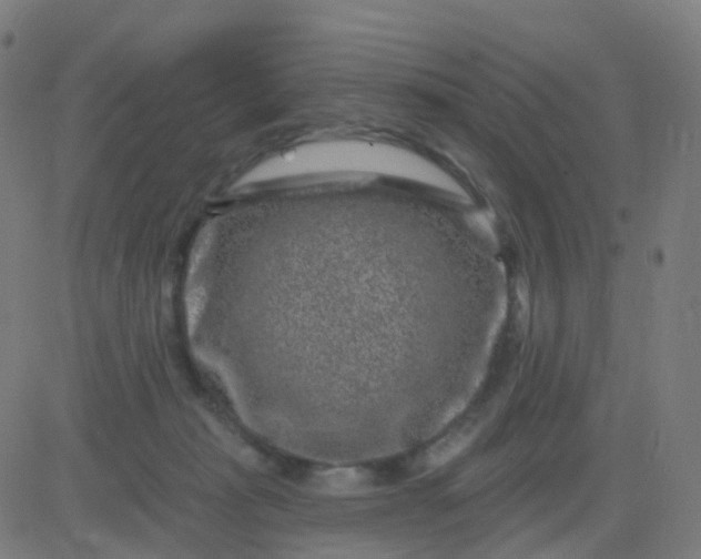 X0000082760269200702092001