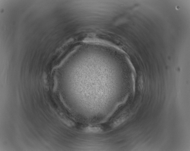 X0000082760270200702092001