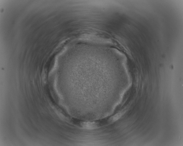 X0000082760273200702092001