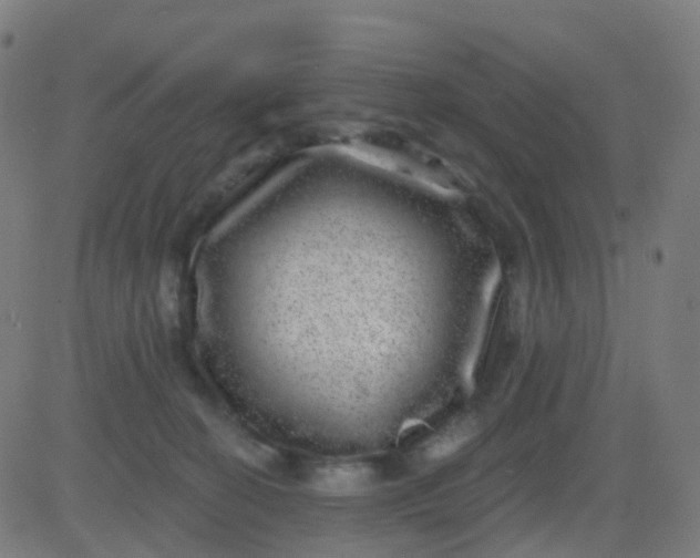 X0000082760274200702092001